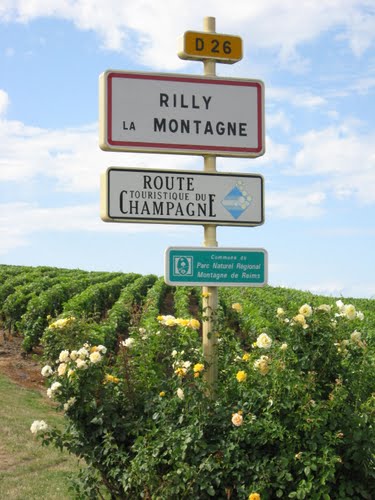 Viticulteur à Rilly-la-Montage