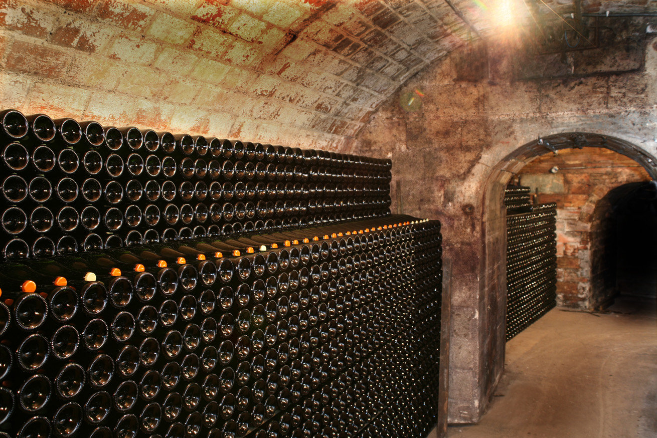 Visite de cave de Champagne près de Reims