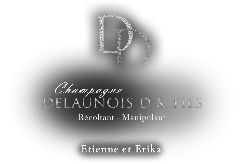 Champagne Delaunois D & Fils